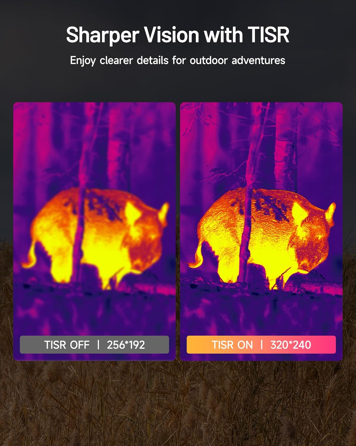 TOPDON TS004 13mm Thermal Monocular 320x240 Night Vision IP67 - SAFE DRIVES